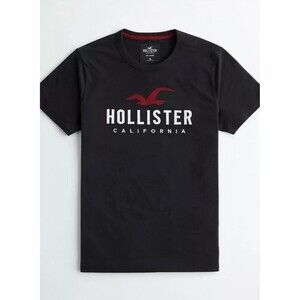 Hollister Men's 100% Cotton Applique Embroidered Graphic Logo Classic T-Shirt L